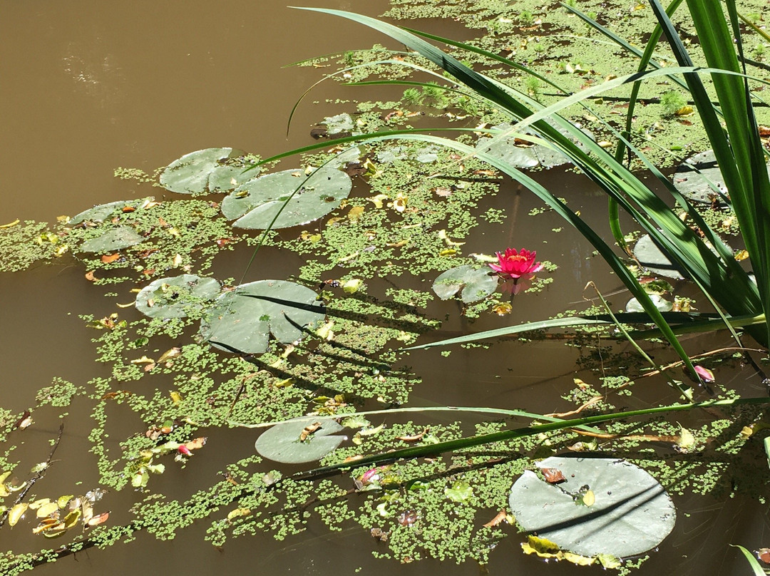 Yali Explora-Santo Domingo必去景点