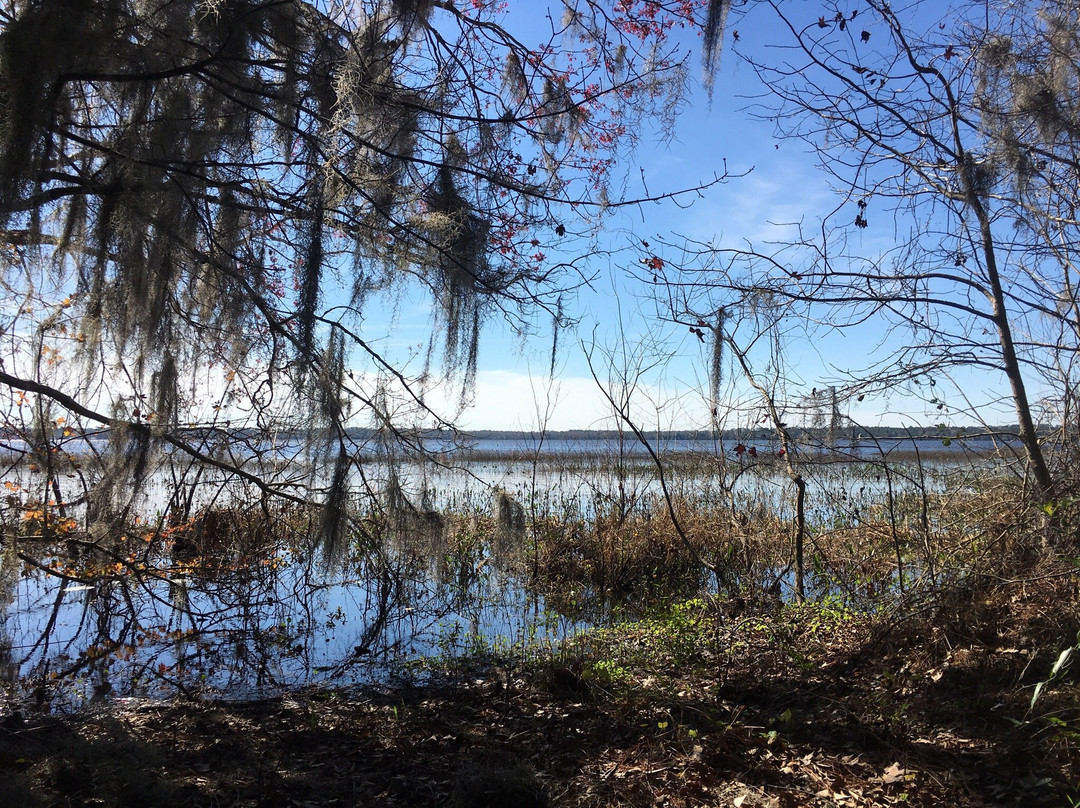 Osceola National Forest-Sanderson必去景点