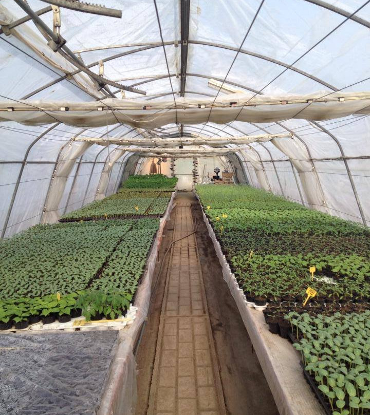 Azienda Agricola Malaguti景点图片