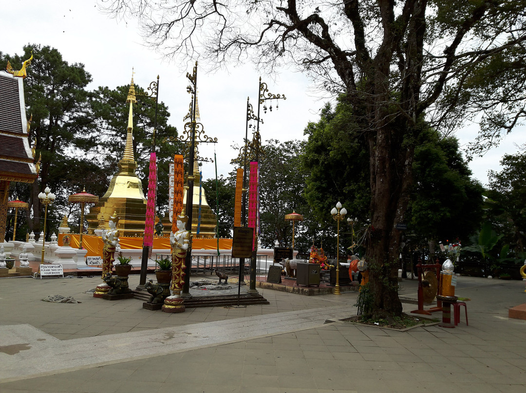 Wat Phrathat Doi Tong-清莱必去景点