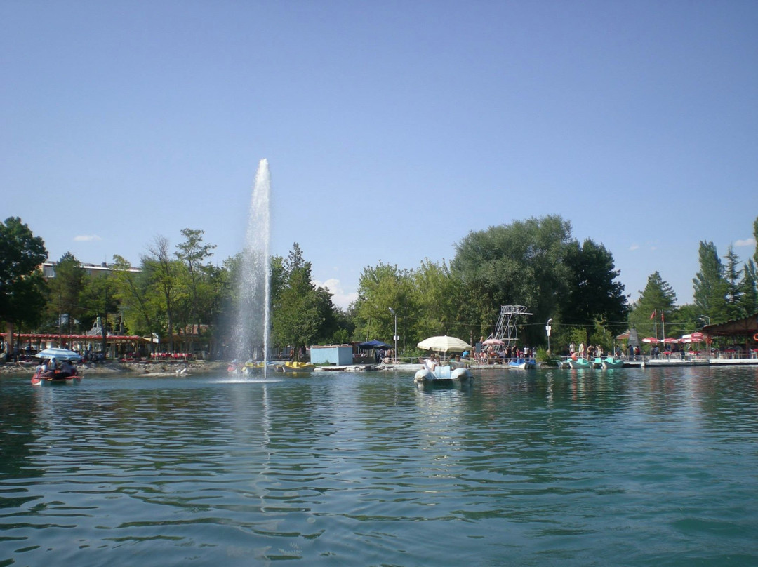 Emirdag餐馆和美食-Sakaryabasi Tesisleri