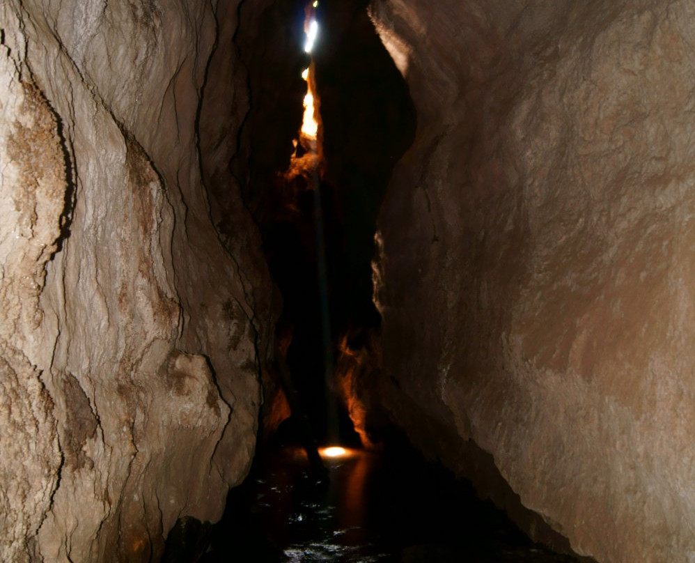 Mangaone Caves Track-Wairoa必去景点
