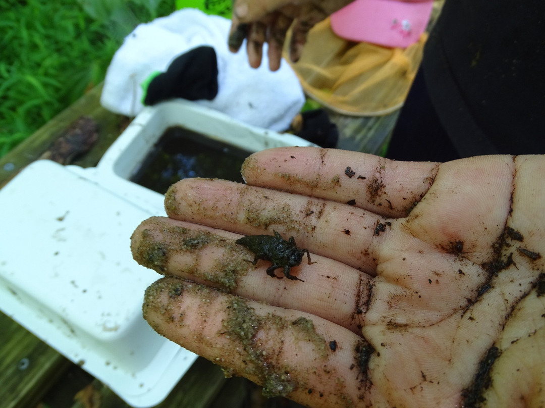 Rancocas Nature Center-Westampton必去景点