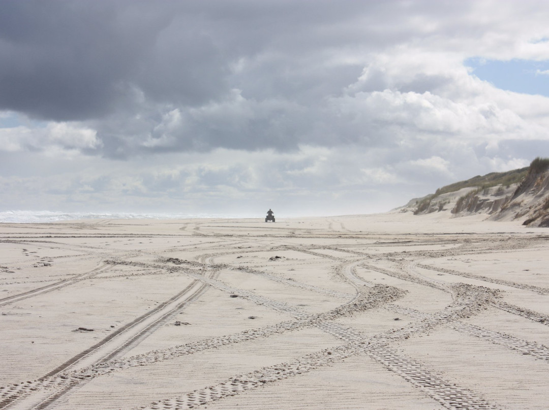 Yeagarup Dunes-彭伯顿必去景点