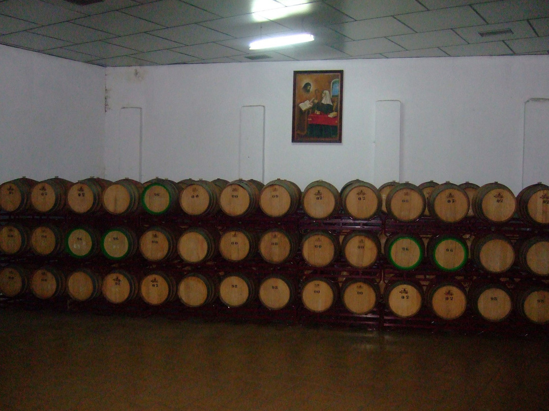 S.C.A. de la vid Santa Gertrudis景点图片