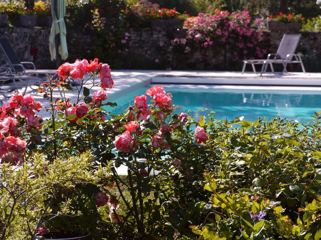 Le Chant des Oiseaux主图