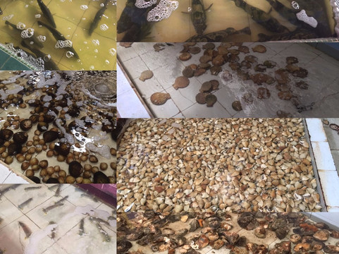 Batam Awesome-巴淡岛必去景点