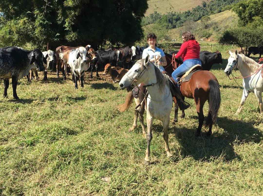 Racho Capelinha-Penedo必去景点