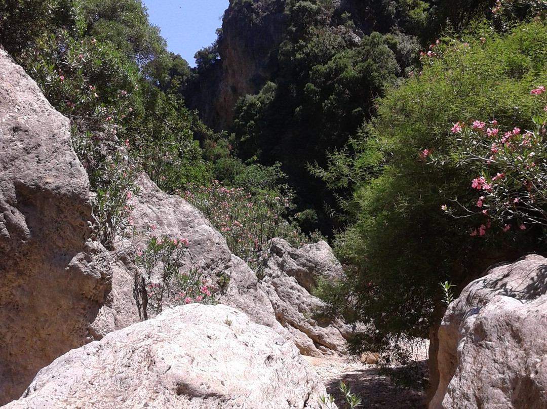 Diktamos Gorge-Katochori必去景点