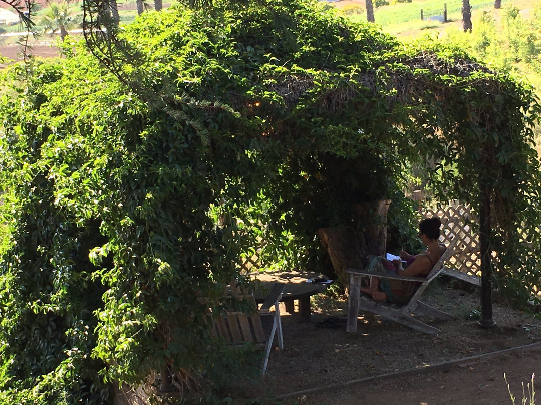 Keys Creek Lavender Farm-瓦利森特必去景点