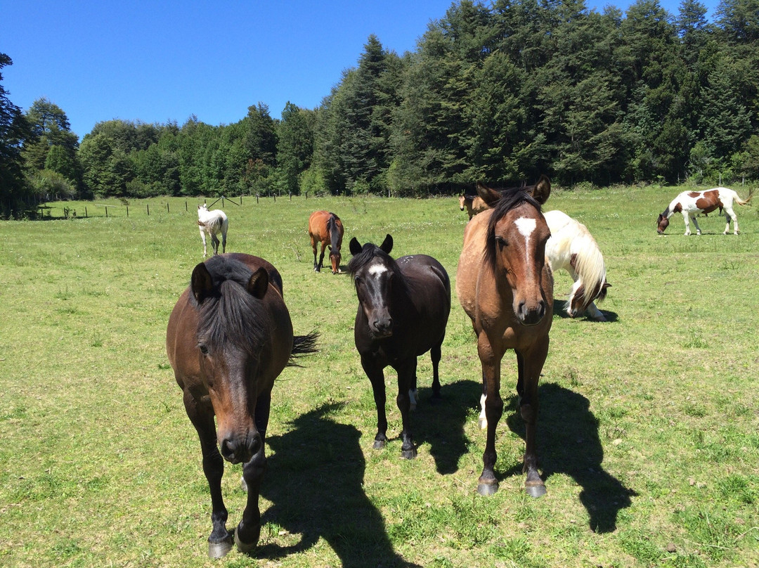 Cabalgatas-耐尔杜美必去景点