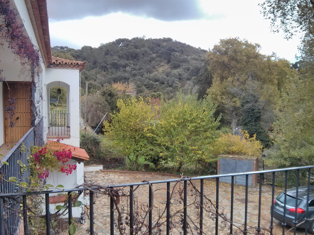 Apartamentos Rurales Las Palmeras主图