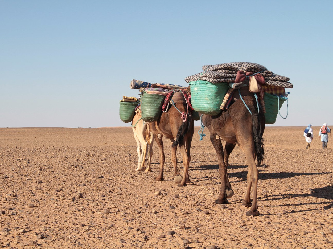 Desert Marrakech Excursion-扎古拉必去景点
