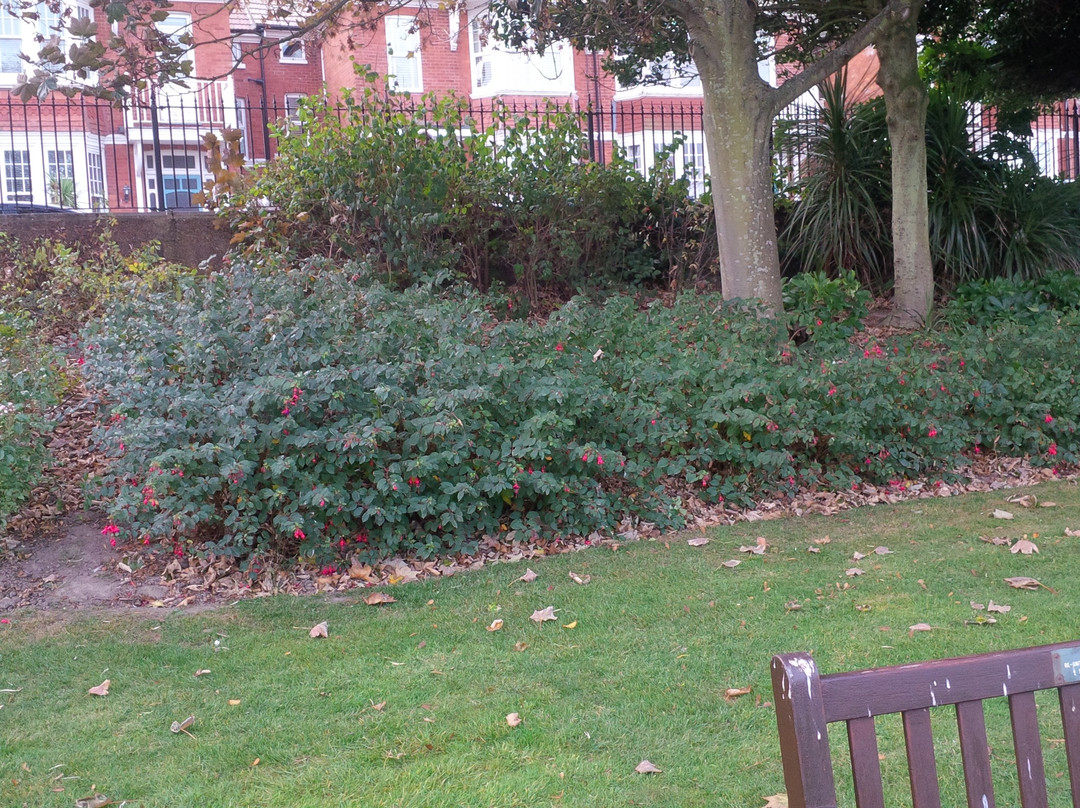 Egerton Park景点图片