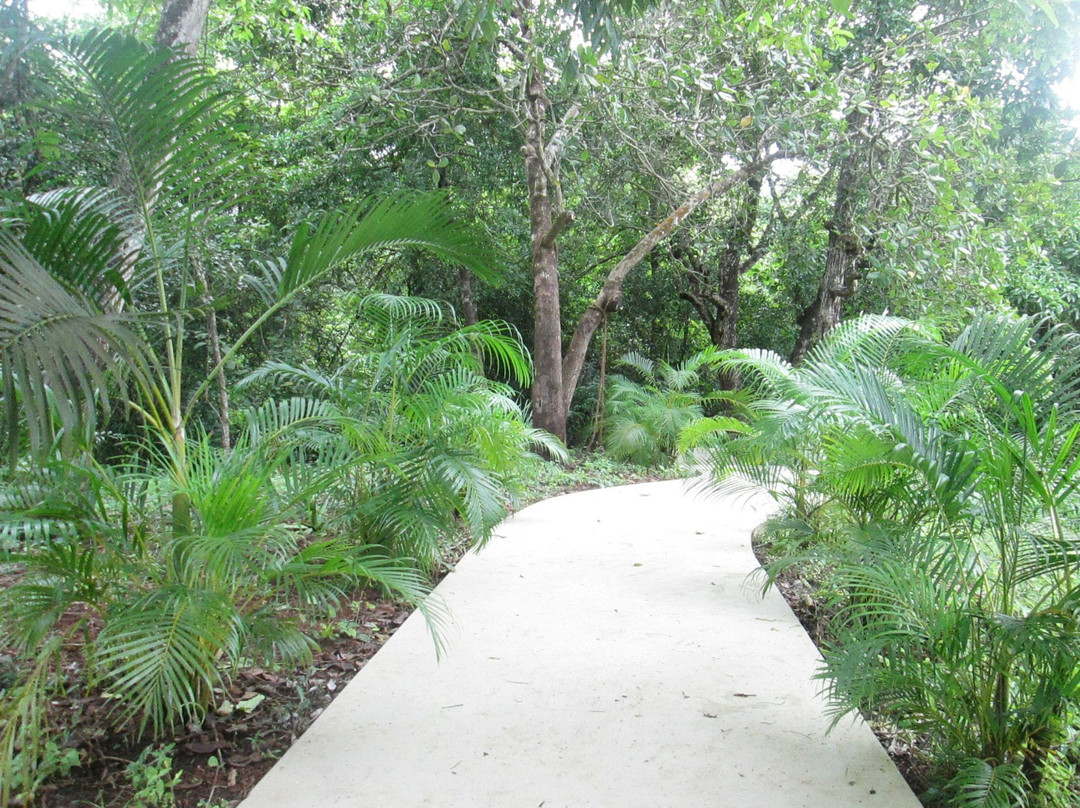 Love The Green-格纳戈纳必去景点
