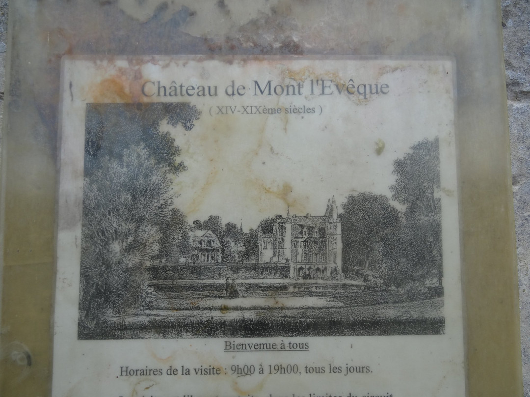 Château de Mont-l'Eveque景点图片