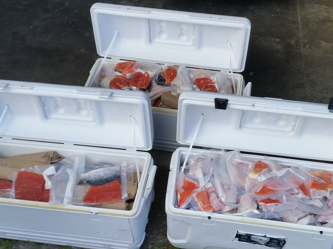 Terry's BC Fishing Charters景点图片