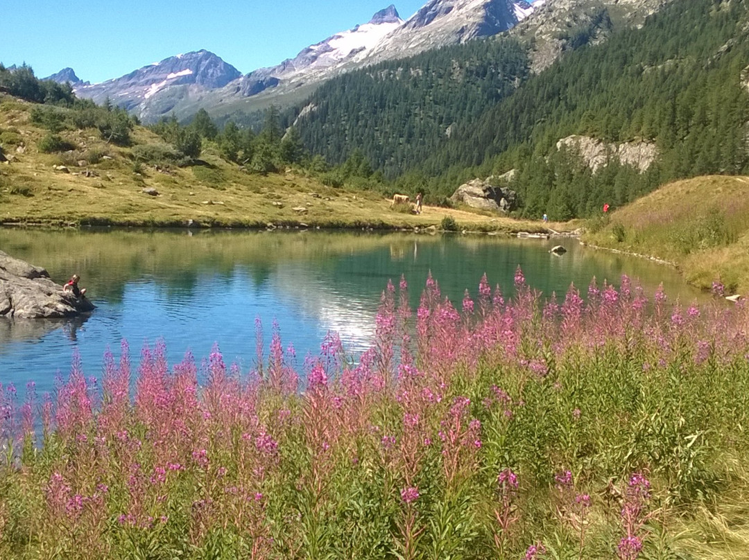Blatten旅游景点-Lotschental Valley