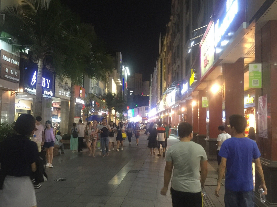 南宁兴宁路步行街景点图片