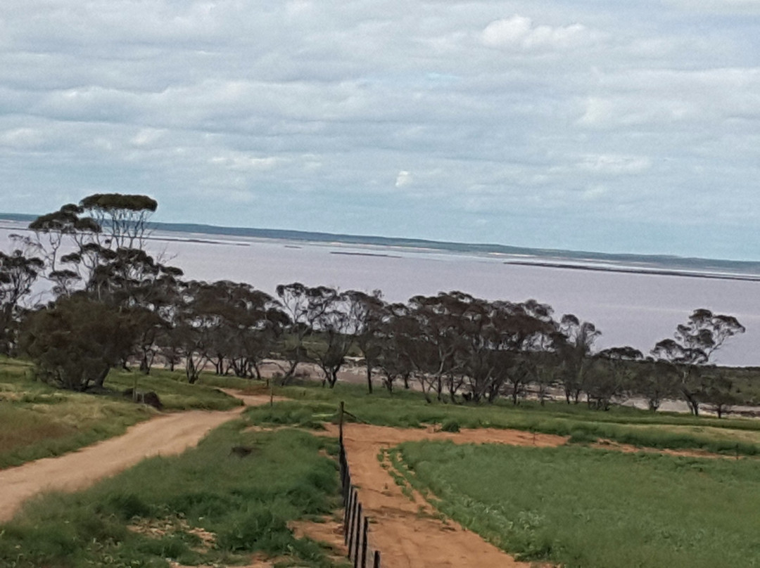 Sea Lake旅游攻略图片