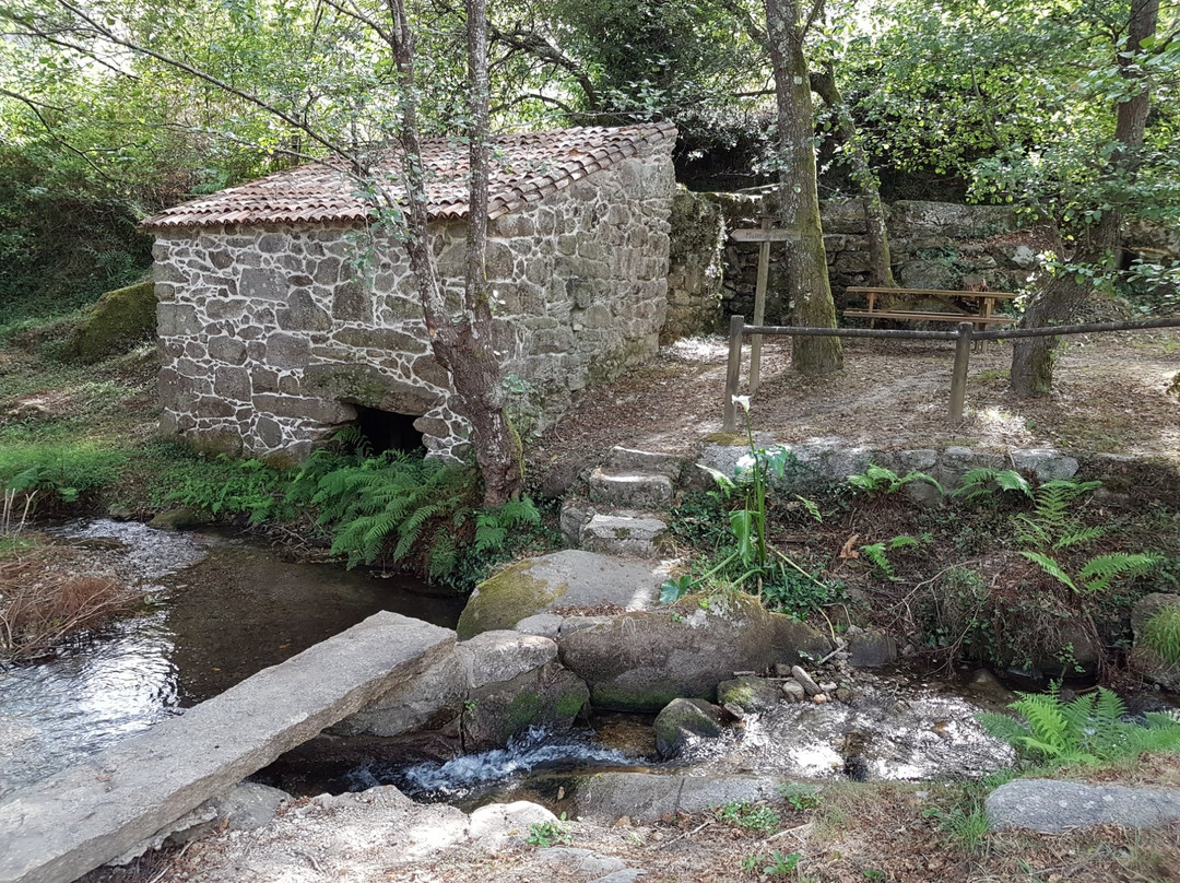Ruta dos Muinos de Samieira-Poio必去景点