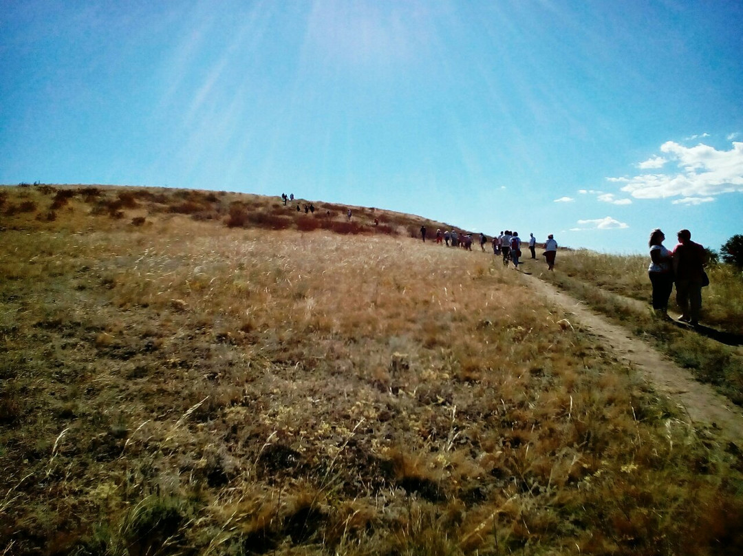 Scherbakovsky Nature Park景点图片