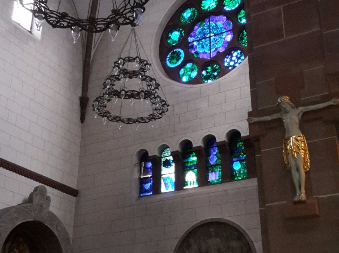 Herz Jesu Kirche景点图片