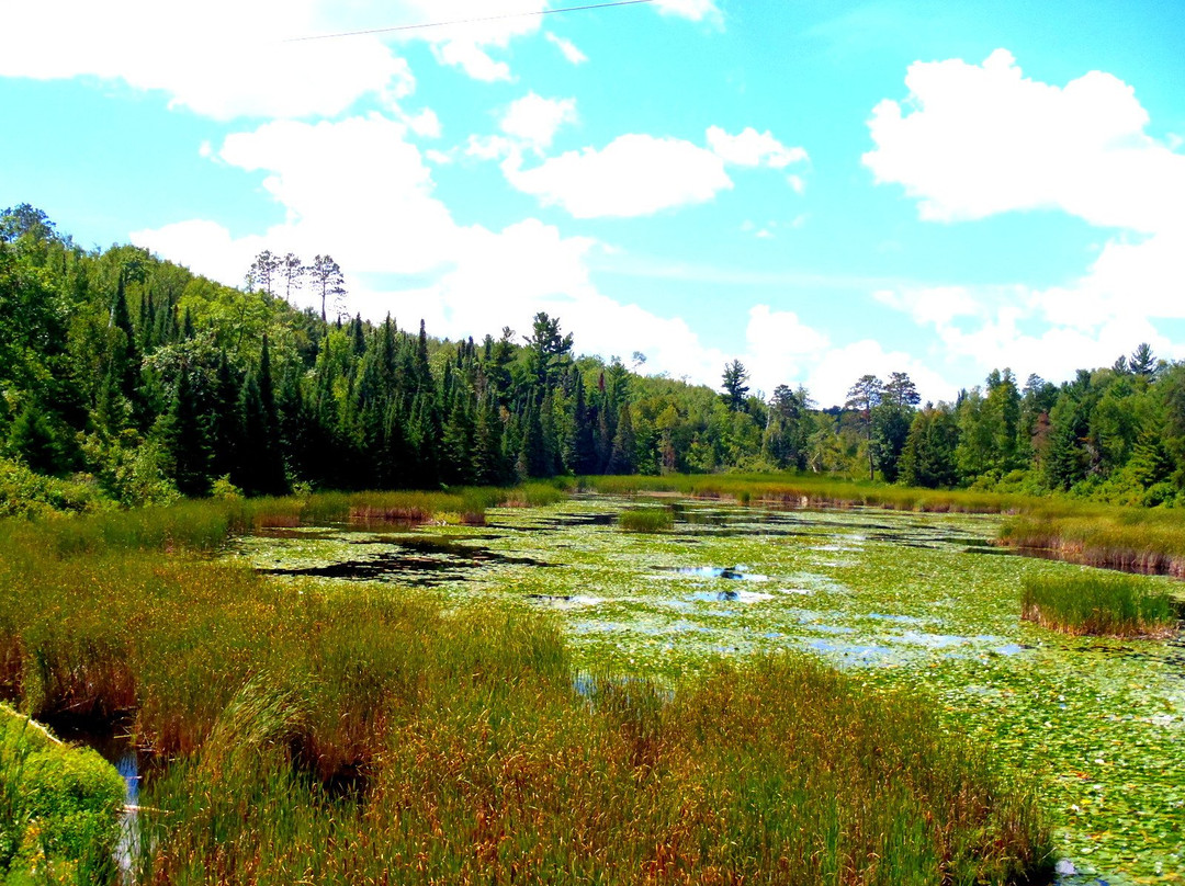 Paul Bunyan State Trail-Brainerd必去景点