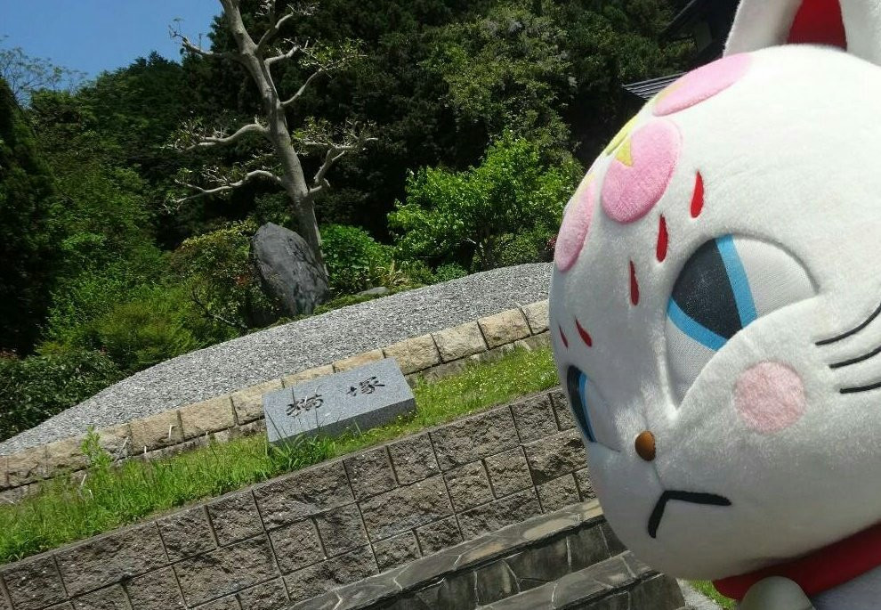Oidashi Neko Yokocho景点图片