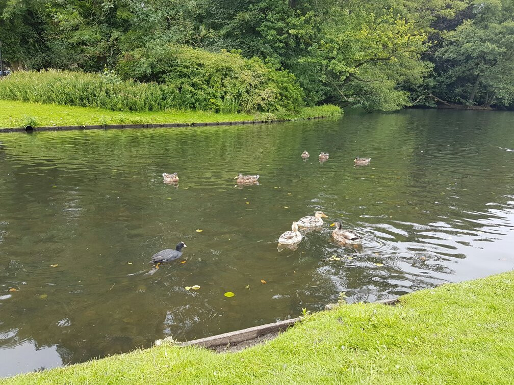 Molenplaats Sonsbeek-阿纳姆必去景点