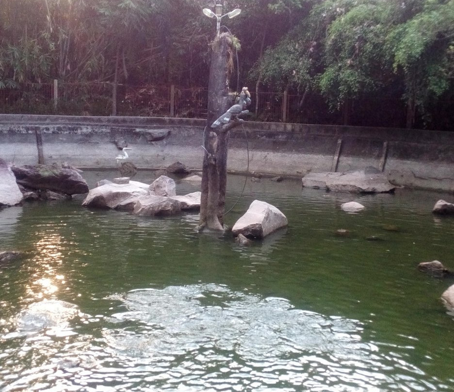 Gua Maria Bukit Kelam-Sintang必去景点