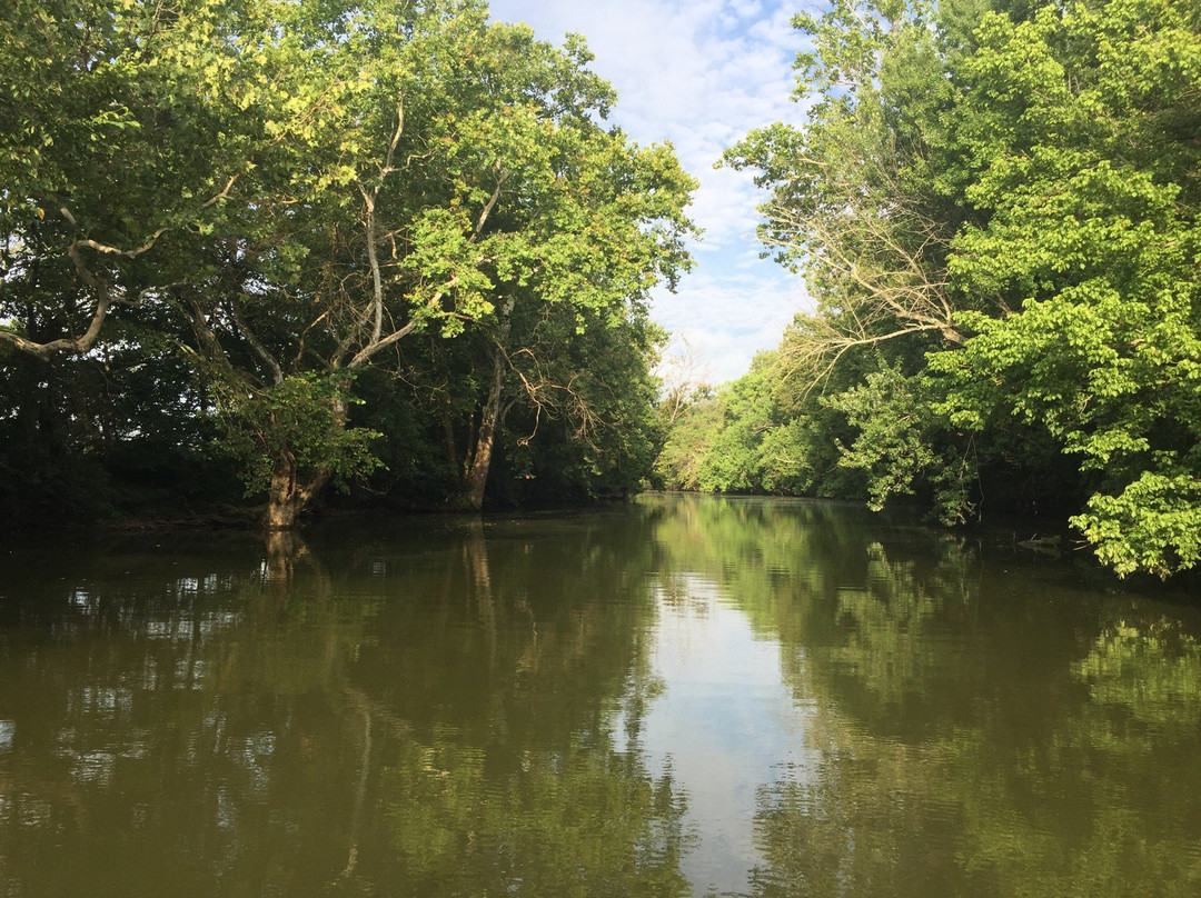 The Treehouse on Stoner Creek B&B主图