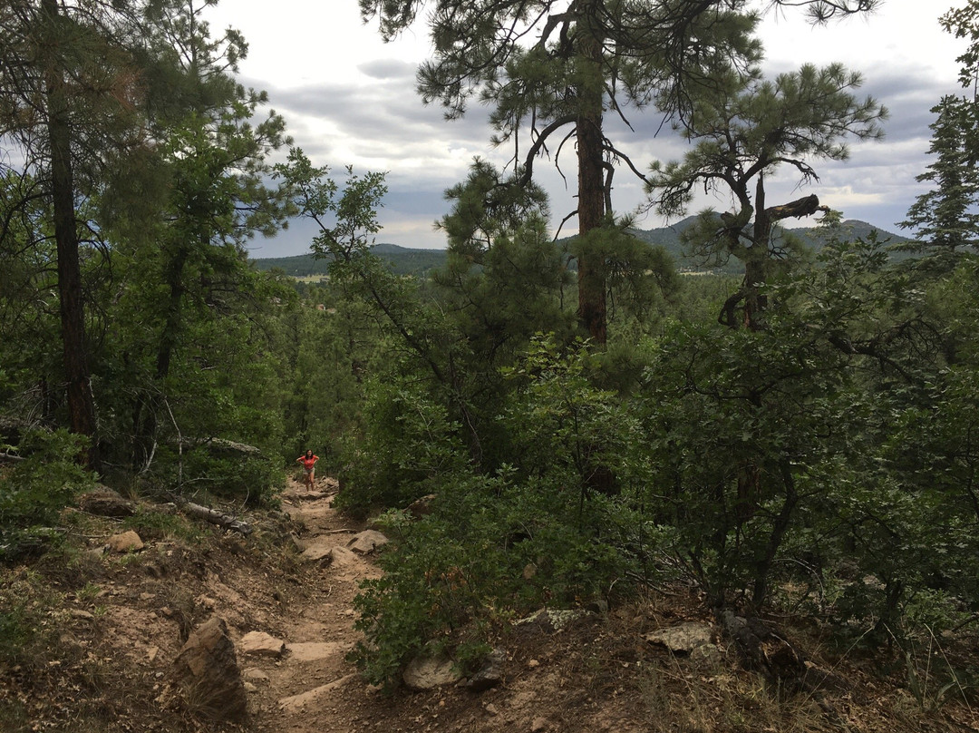 Bill Williams Mountain-威廉姆斯必去景点