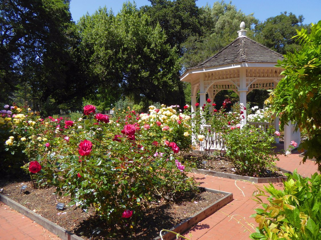 Central Park-圣马特奥必去景点