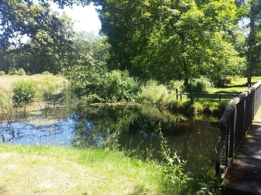 La Peneda Monterroso-Monterroso必去景点