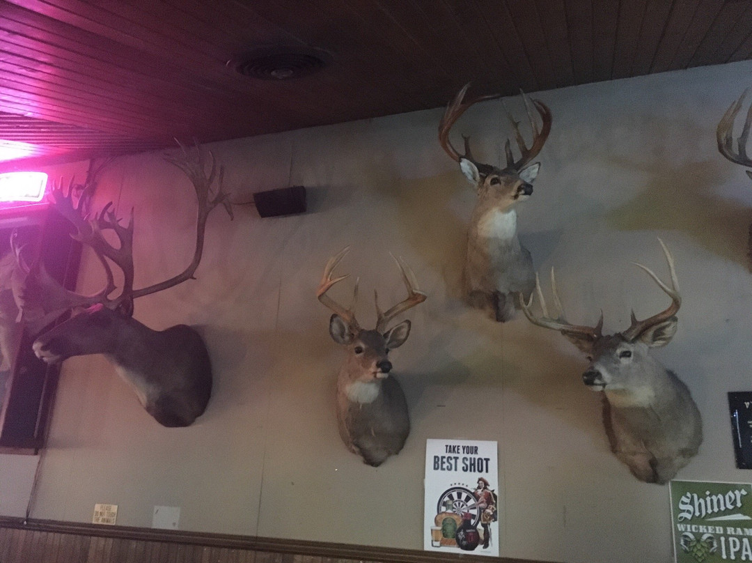 Walnut Tavern AKA The Dead Animal Bar景点图片