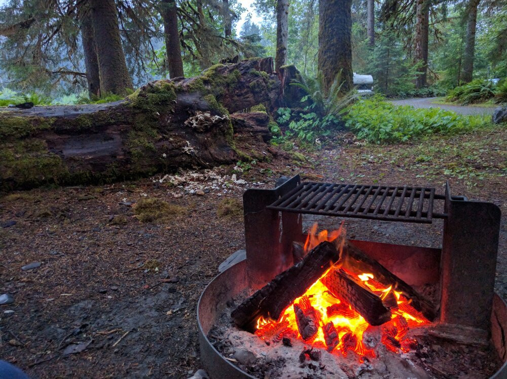 Hoh Campground