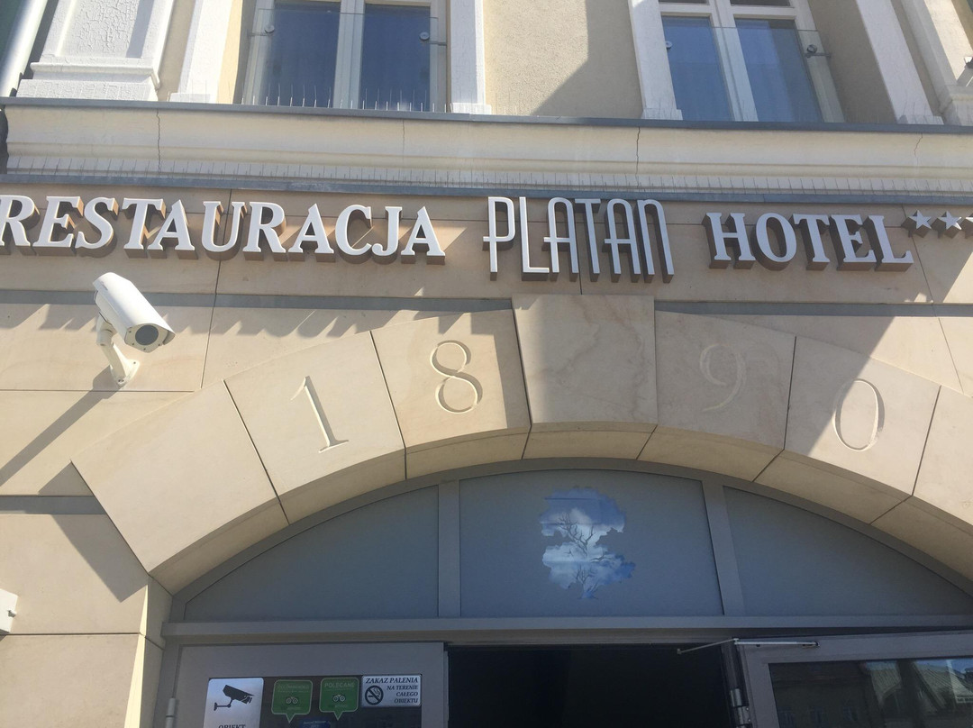 Hotel-Restauracja Platan主图