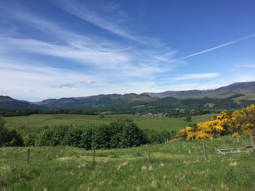 Auchingarrich Wildlife And Adventure Park