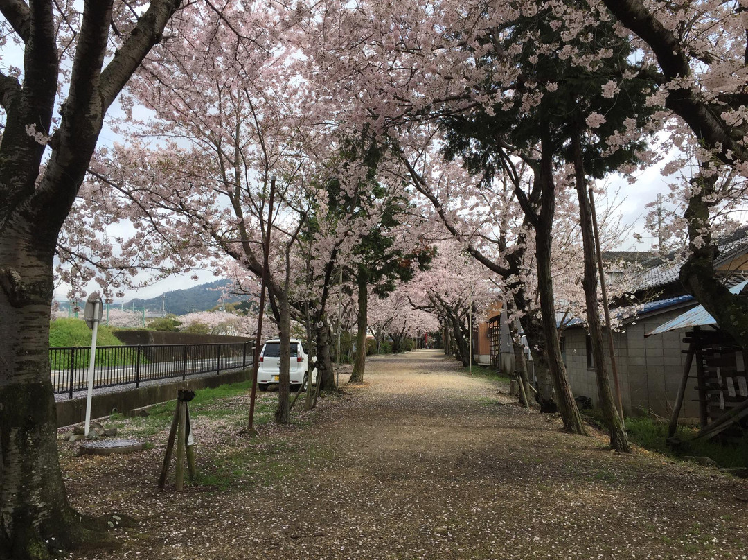 Hinen Shrine-泉佐野市必去景点