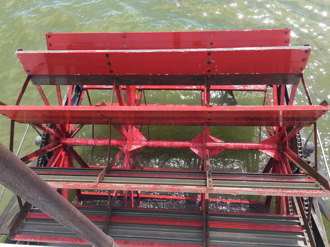Lady of the Lake-Clear Lake必去景点