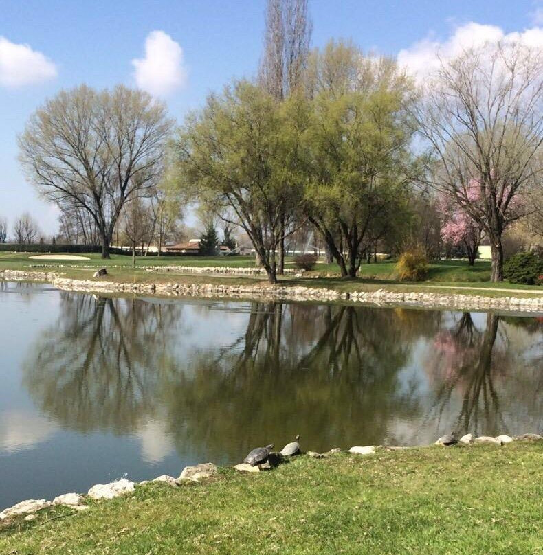 Golf Club Le Rovedine景点图片