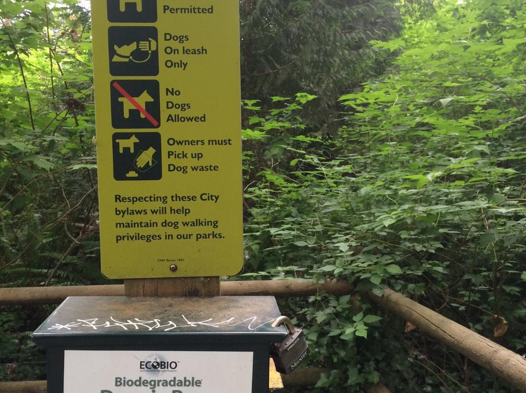 Mosquito Creek Hiking Trail-北温哥华必去景点