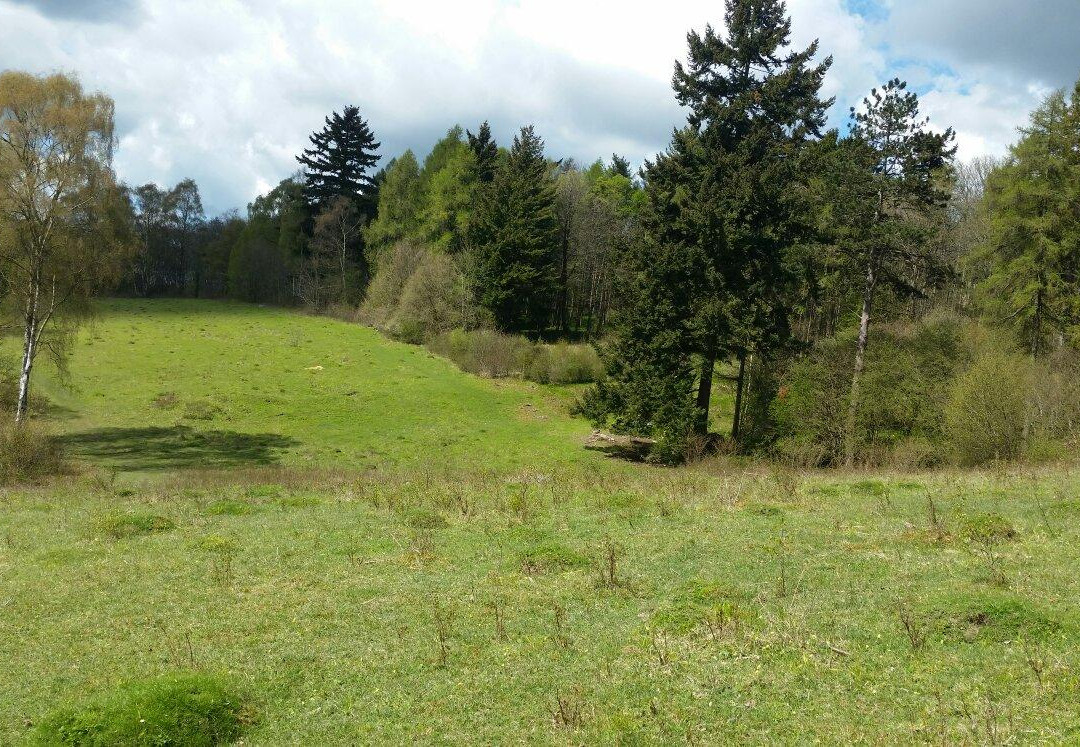 Warburg Nature Reserve景点图片