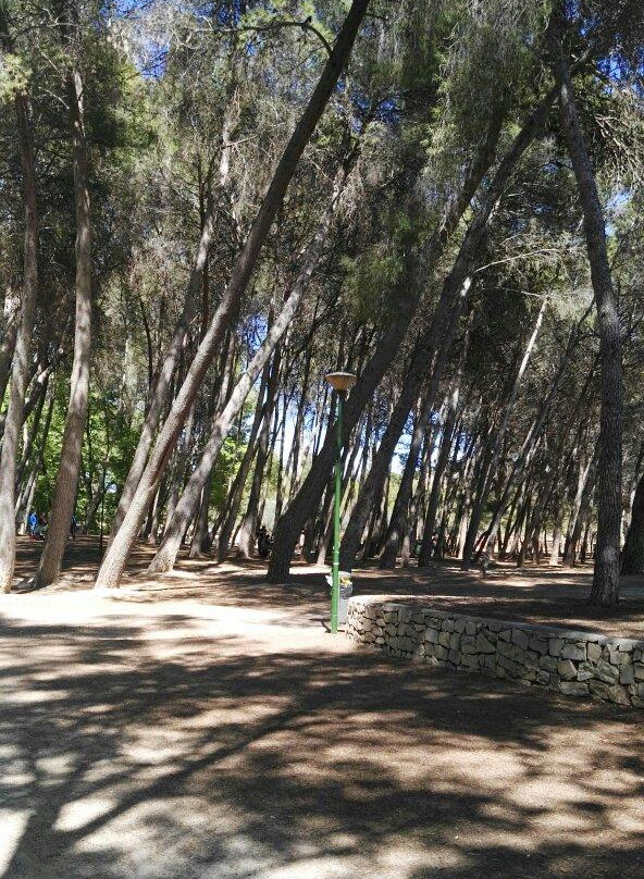 Parque Municipal de San Vicente-Lliria必去景点