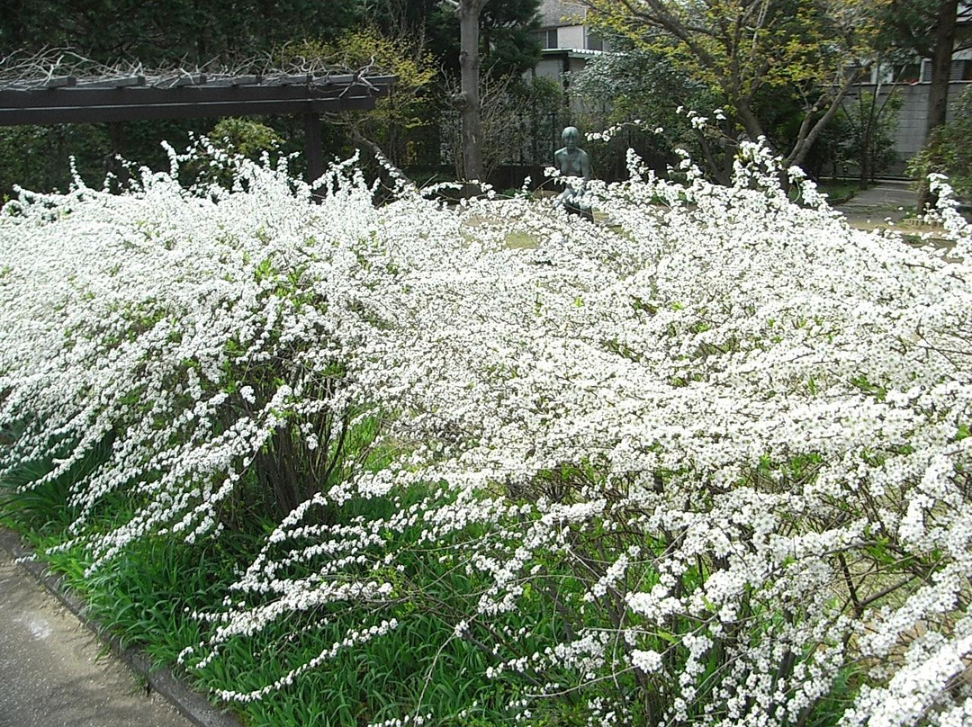 Yoshizawa Garden Gallery-市川市必去景点
