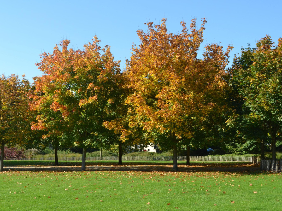 Parc de Séroule景点图片