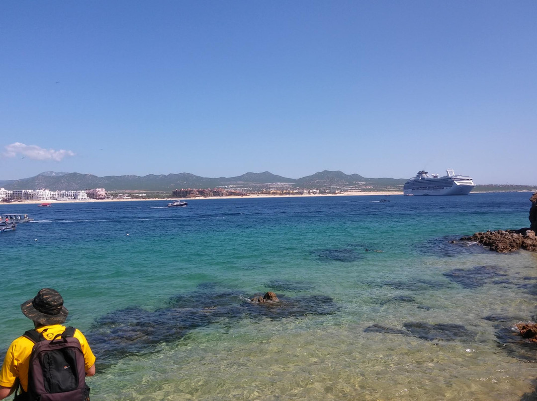 Cannery Beaches-卡波圣卢卡斯必去景点
