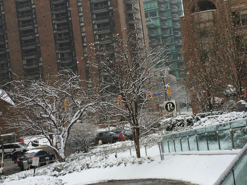 宏利理财中心-多伦多必去景点