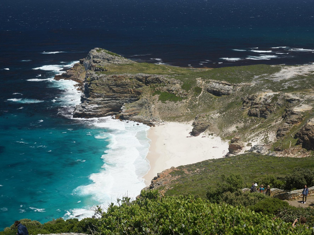 Cape Point旅游攻略图片